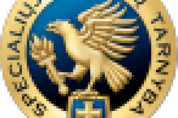 Special Investigation Service (STT)