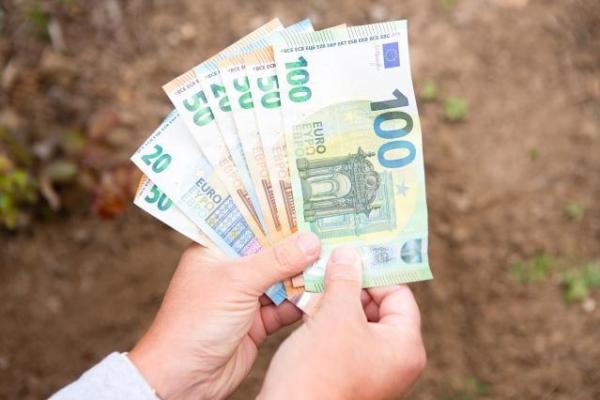 Transnational fraud and off shore companies